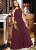 Izabelle A-Line Scoop Neck Floor-Length Chiffon Junior Bridesmaid Dress STKP0013418