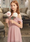 Janiyah A-Line Off-the-Shoulder Floor-Length Chiffon Junior Bridesmaid Dress With Cascading Ruffles STKP0013553