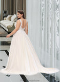 Vivien Ball-Gown/Princess V-neck Court Train Tulle Wedding Dress STKP0013682