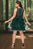 Alejandra Ball-Gown/Princess Scoop Short/Mini Lace Tulle Homecoming Dress With Sequins STKP0020537