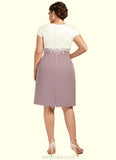 Jamie Sheath/Column Scoop Neck Knee-Length Chiffon Lace Mother of the Bride Dress STK126P0014559