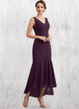 Eleanor Trumpet/Mermaid V-neck Asymmetrical Chiffon Mother of the Bride Dress With Lace Beading Sequins STK126P0014902