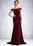 Bella Trumpet/Mermaid Off-the-Shoulder Sweep Train Velvet Mother of the Bride Dress With Ruffle STK126P0014988