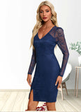 Cameron Flower V-Neck Elegant Bodycon Lace Asymmetrical Dresses STKP0022325