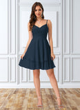 Hedwig V-Neck A-line Chiffon Dresses STKP0022370