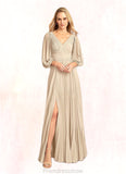 Nita A-Line V-Neck Pleated Chiffon Floor-Length Dress STKP0022642