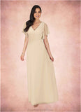 Lorelei A-Line V-Neck Pleated Chiffon Floor-Length Dress STKP0022646