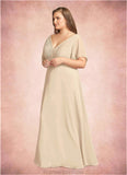 Lorelei A-Line V-Neck Pleated Chiffon Floor-Length Dress STKP0022646