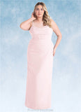 Danielle Sheath Pleated Chiffon Floor-Length Dress Blushing Pink STKP0022707