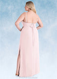 Danielle Sheath Pleated Chiffon Floor-Length Dress Blushing Pink STKP0022707