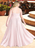 Janey A-Line V-Neck Pleated Chiffon Floor-Length Dress Blushing Pink STKP0022712