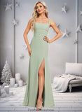 Sabrina Trumpet/Mermaid Square Floor-Length Chiffon Bridesmaid Dress STKP0025808