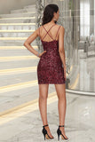 Marely Bodycon Scoop Short/Mini Sequin Homecoming Dress With Sequins STKP0020489