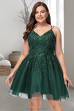 Samantha A-line V-Neck Short/Mini Tulle Homecoming Dress STKP0020546