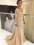 Kelly Sheath/Column Tulle Applique V-neck Long Sleeves Sweep/Brush Train Mother of the Bride Dresses STKP0020380