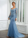 Kirsten Sheath/Column Tulle Applique V-neck Long Sleeves Sweep/Brush Train Mother of the Bride Dresses STKP0020244