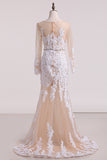 2024 Wedding Dresses Bateau Mermaid/Trumpet Tulle With STKPBLDXH19