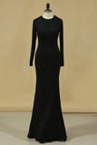 2024 Long Sleeve Evening Dresses Sheath PJ4XJ28X