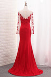 2024 Mermaid Scoop Spandex Long Sleeves Prom Dresses With Applique PB67P5KF