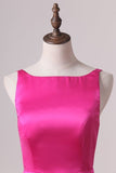 2024 Fuchsia Sexy Back Straps Homecoming Dresses A Line P9JGCBAK