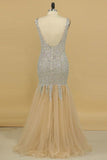 2024 V Neck Prom Dresses Open Back Beaded Bodice Mermaid Tulle PBCKMS1Z