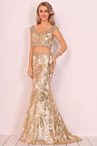 2024 Prom Dresses V Neck Mermaid PY9F1JH5