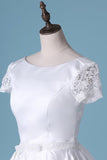 2024 New Arrival Scoop Wedding Dresses A Line Short Sleeves Court PRY5N4BS