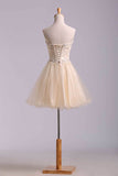 2024 Lovely Homecoming Dresses A Line Sweetheart Short Mini Color Champagne