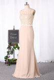 2024 Sheath/Column Mother Of The Bride Dresses P2DAM9TT