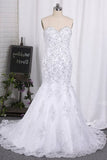 2024 Sweetheart Mermaid/Trumpet Wedding Dresses Court PT8E29MB