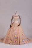 Ball Gown Long Sleeves Scoop Tulle Wedding Dress Princess Long Bridal Dress PS927S4R