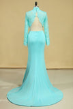 2024 Two Pieces Prom Dresses Mermaid Spandex & Tulle PRG3Y47T