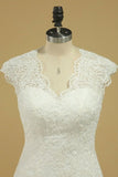 2024 Wedding Dresses V Neck Cap Sleeve With Applique PGMFL4AK