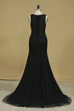 2024 Prom Dresses Scoop Tulle With Applique And P2YET3MR