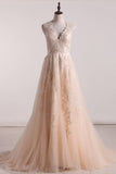 2024 Tulle Wedding Dreeses V Neck A Line PEHC1XFS