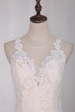 2024 New Arrival Wedding Dresses Mermaid Scoop Lace With Applique PED258AN