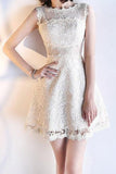 2024 Homecoming Dresses A Line Scoop Lace Short/Mini P2NBXN73