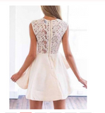 Beige Sheer Crochet Lace Panel Sleeveless Layered Skater Dress Cap Sleeve Prom Dresses