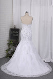 2024 Sweetheart Mermaid/Trumpet Wedding Dresses Court PT8E29MB