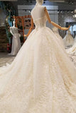 2024 Luxury Wedding Dresses Halter A-Line Lace Half Sleeves Open Back Cathedral Train Top PS5BQBT1