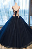 Navy Blue Ball Gown Floor Length V Neck Sleeveless Lace Up Floral Prom Dresses