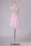 2024 Scoop Tulle With Embroidery Short/Mini Homecoming Dresses PECL1NKE