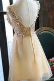 2024 Homecoming Dresses A Line V Neck Tulle With PM1T3YQQ