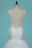 2024 Mermaid Spaghetti Straps Tulle Wedding Dresses With Applique PA2HR8DC