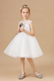 Sleeveless Ivory Lace Tulle Flower Girl Dresses