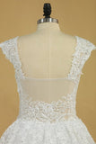 2024 Plus Size Bridal Dresses A-Line Off The Shoulder Tulle Court Train White Zipper P32KJLPZ