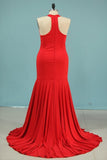 2024 Plus Size Evening Dresses Mermaid High Neck Spandex PBP1JHT9