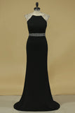 2024 Prom Dresses Scoop With Beading Spandex Sheath PN4G9HJY