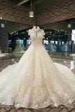 2024 Marvelous High Neck Wedding Dresses A Line With Crystals Royal Train Tulle PS16175N