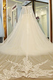 2024 Off The Shoulder Wedding Dresses A Line With Beading Court Train Tulle PNL96SGN